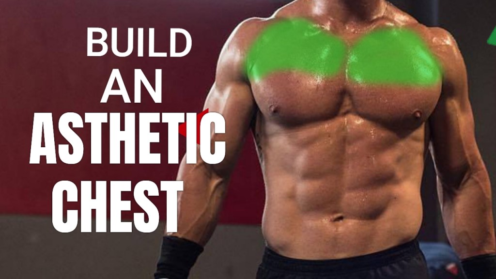 AESTHETIC CHEST WORKOUTS FOR&nbsp;HYPERTROPHY